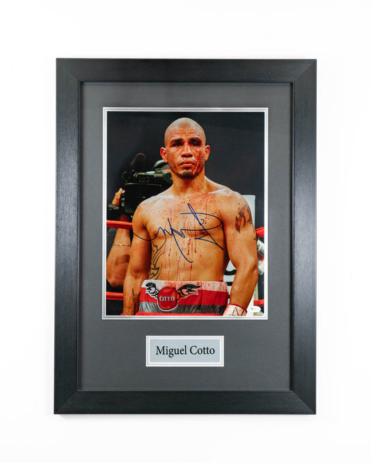 Miguel Cotto Framed Display - Signed